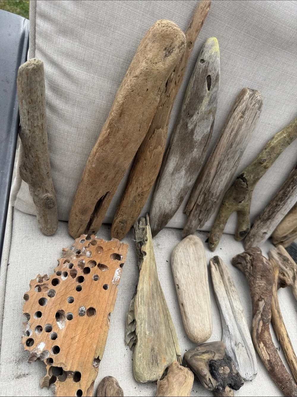 22 pcs(5lb shipped)Natural Driftwood & Beach Wood Accent Collection decor, craft